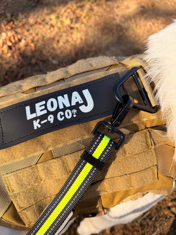 Hands-Free Running/Hiking Bungee Leash